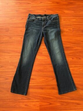 Joe's Jeans Dark Blue Flare Jeans
